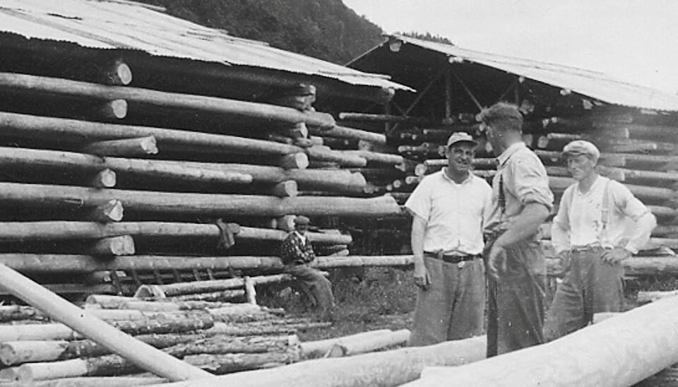Blir tema: I garden Settem si 400 år lange sagbrukshistorie utgjorde Nordmøre Impregnering ein viktig periode. Foto frå 1950-åra.