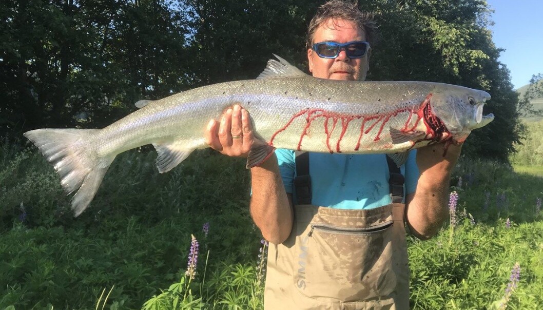 Terje Sylte, 10.2 kg Terje Sylte, 10.2 kg