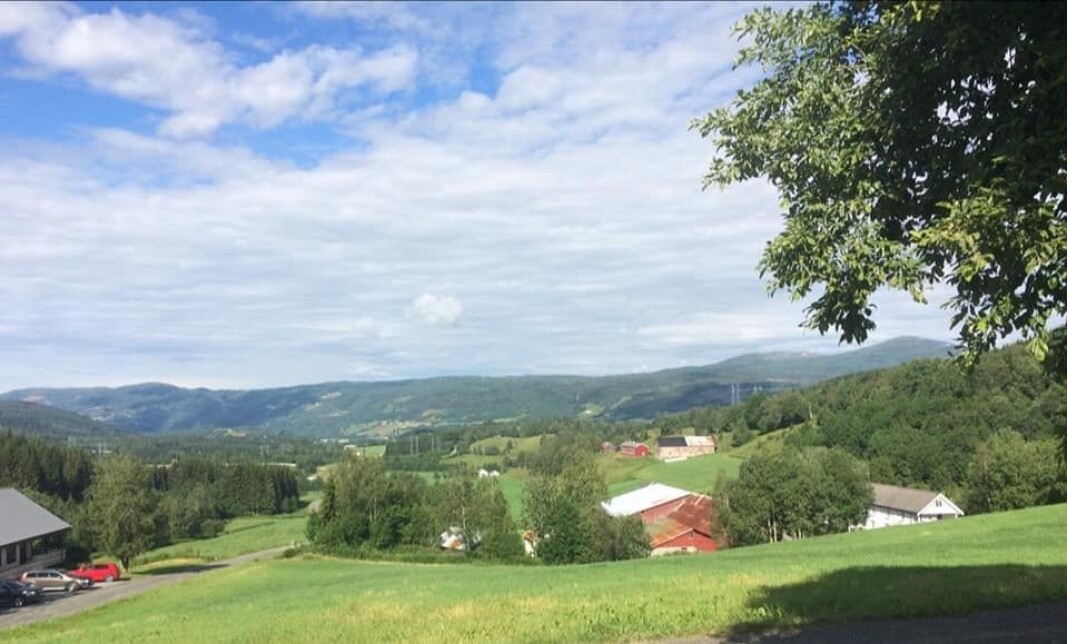 Utover bygda, Løsetgardene i front Utover bygda, Løsetgardene i front