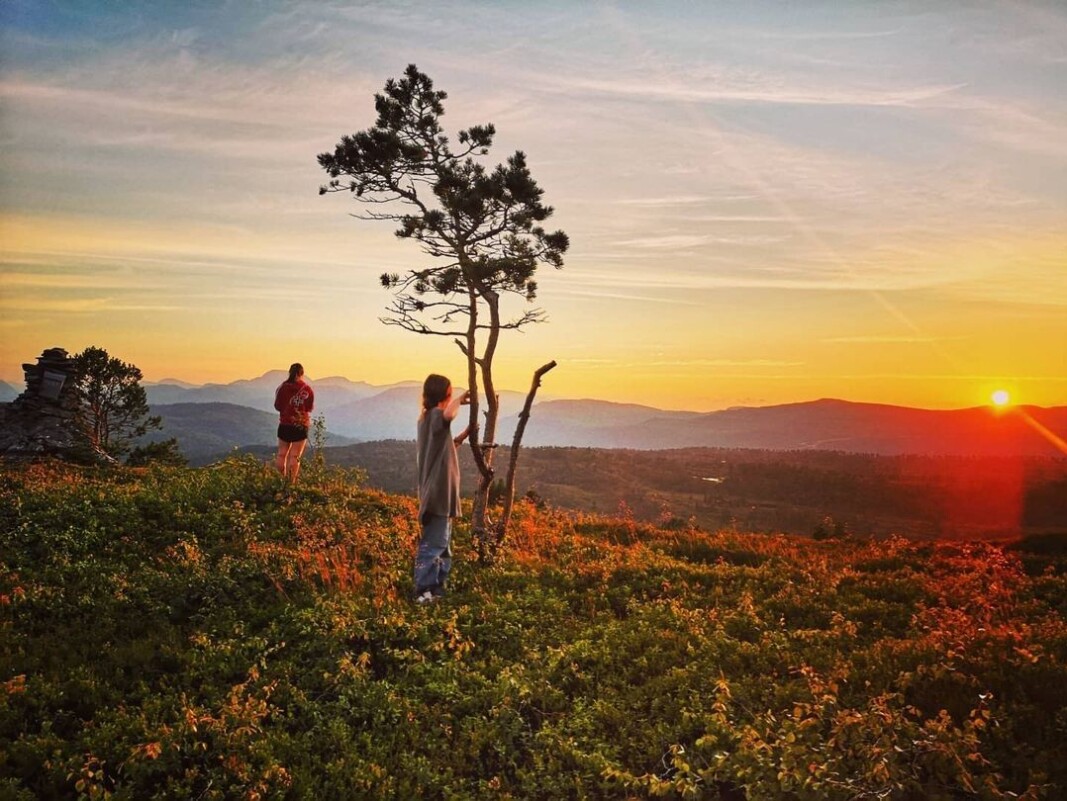 Ikveld ble bare en sånn magisk kveld, vi måtte bare gå Råslettkammen på nordmarka 😍 #råslettkammen #nordmarka #surnadal Ikveld ble bare en sånn magisk kveld, vi måtte bare gå Råslettkammen på nordmarka 😍 #råslettkammen #nordmarka #surnadal