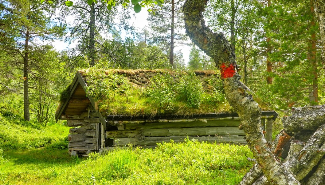 <p>Knapphaugløa er ett av de nye turmålene i Trimpoeng. Løa ligger i Langlimarka langs Trondhjems Turistforening sin eldste merka rute, som går fra Langlia/Seterlia til Trollheimshytta. Knapphaugløa ble restaurert av Turstigruppa i 2010.</p><p><br></p> <p>Knapphaugløa er ett av de nye turmålene i Trimpoeng. Løa ligger i Langlimarka langs Trondhjems Turistforening sin eldste merka rute, som går fra Langlia/Seterlia til Trollheimshytta. Knapphaugløa ble restaurert av Turstigruppa i 2010.</p><p><br></p>