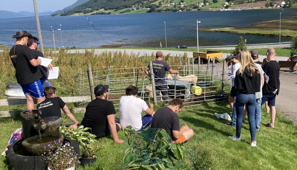 Sommersprell med Møre og Romsdal Bygdeungdomslag