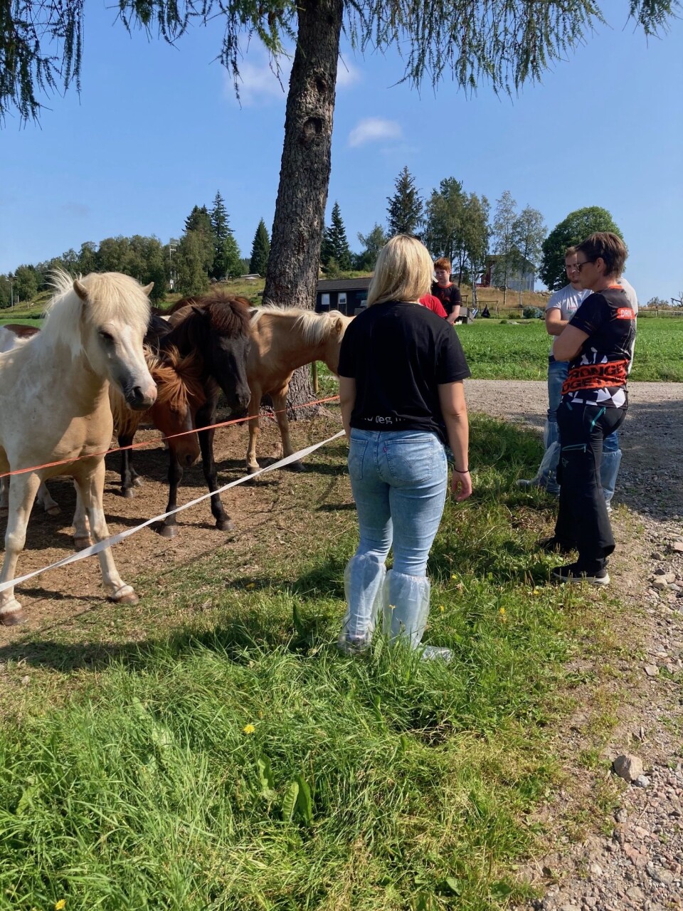 Sommersprell med Møre og Romsdal Bygdeungdomslag