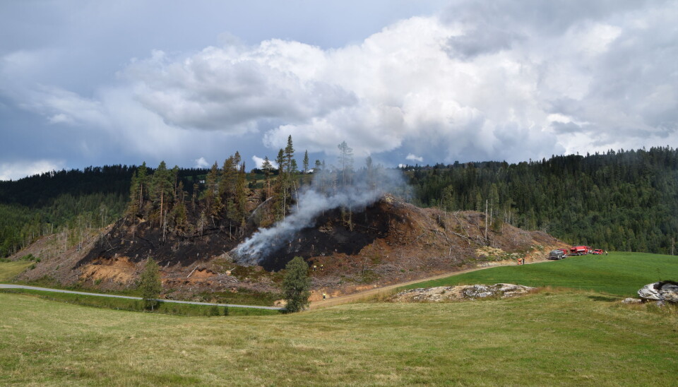 En gressplen og i en skråning opp mot skogen er det skogbrann