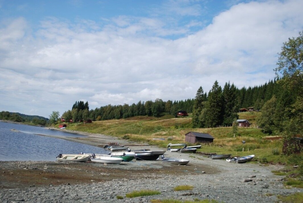 Lang «fjære» Lang «fjære»