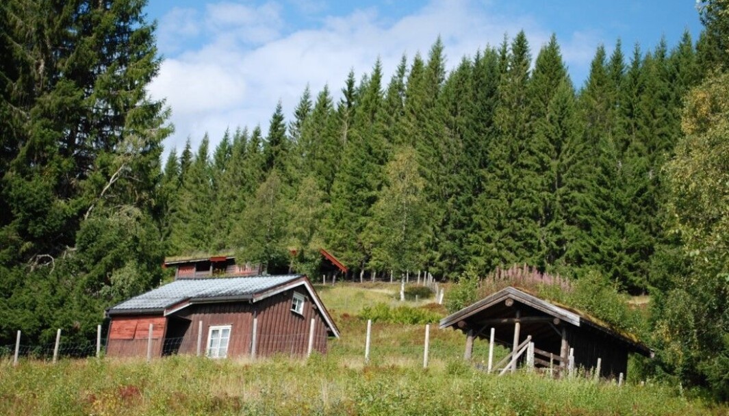 Her har det tidligere vært bosetting Her har det tidligere vært bosetting