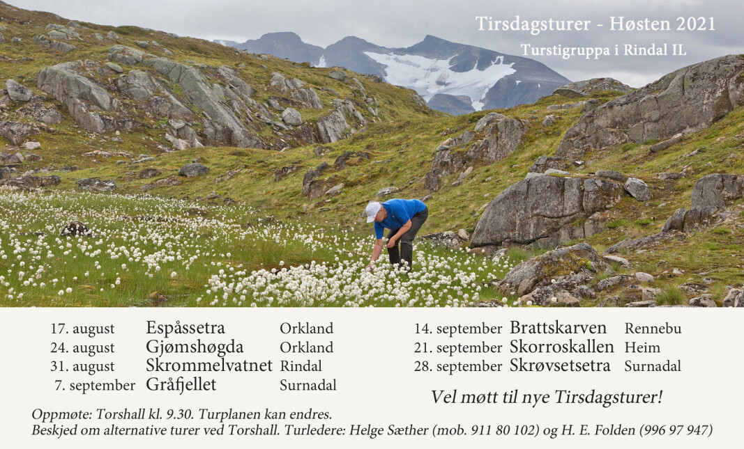 Bollknubben i Surnadal, 20. august 2019 Bollknubben i Surnadal, 20. august 2019