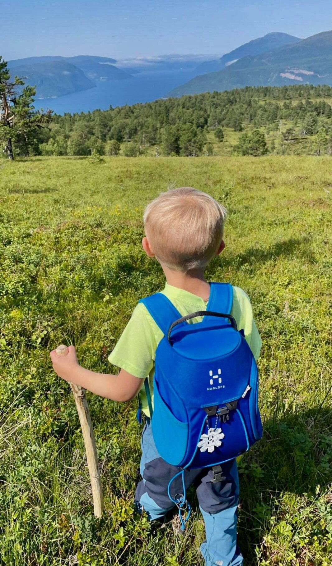Kristian på multetur på Stangvikfjellet tidlig i august. Kristian på multetur på Stangvikfjellet tidlig i august.