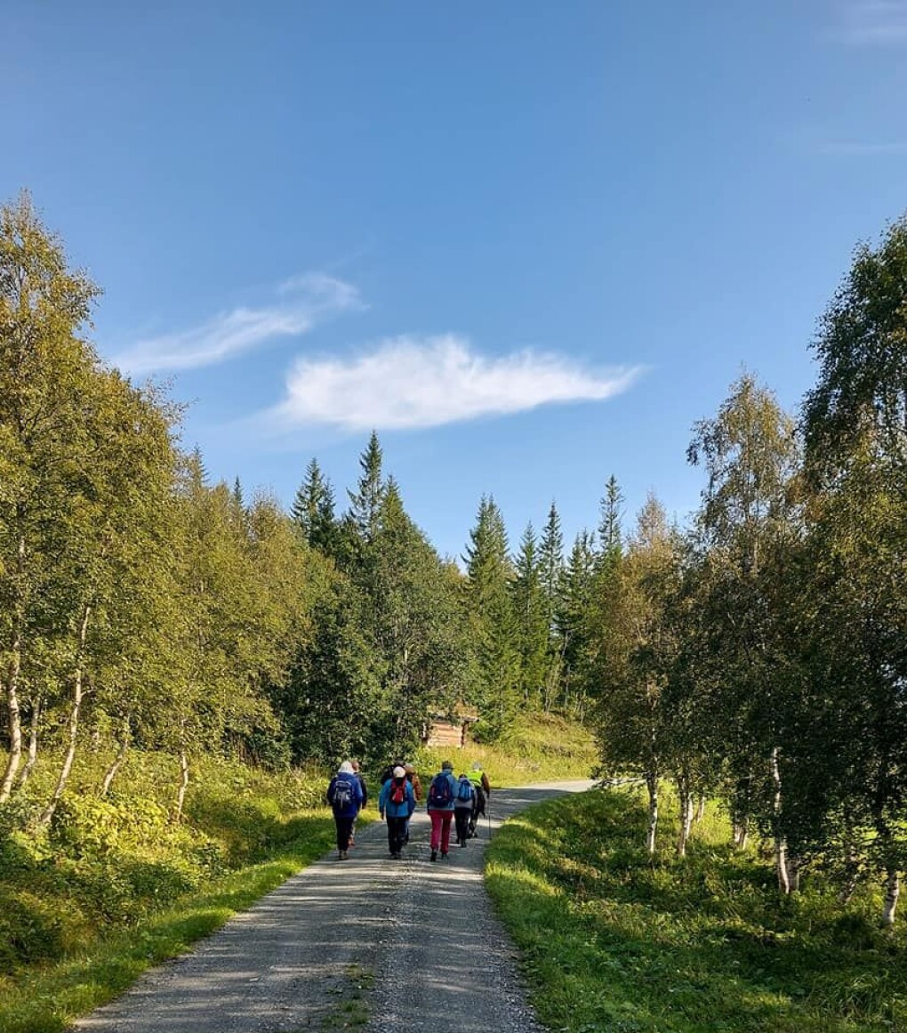 Gjengen på tur i retning Stangabogan, forbi det fine kalvehuset Gjengen på tur i retning Stangabogan, forbi det fine kalvehuset
