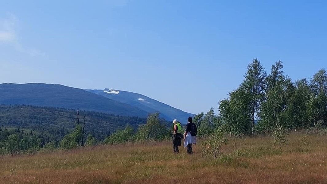 Nyter utsikten, Trollheimen og Rinnhatten med dukfonna i det fjerne Nyter utsikten, Trollheimen og Rinnhatten med dukfonna i det fjerne