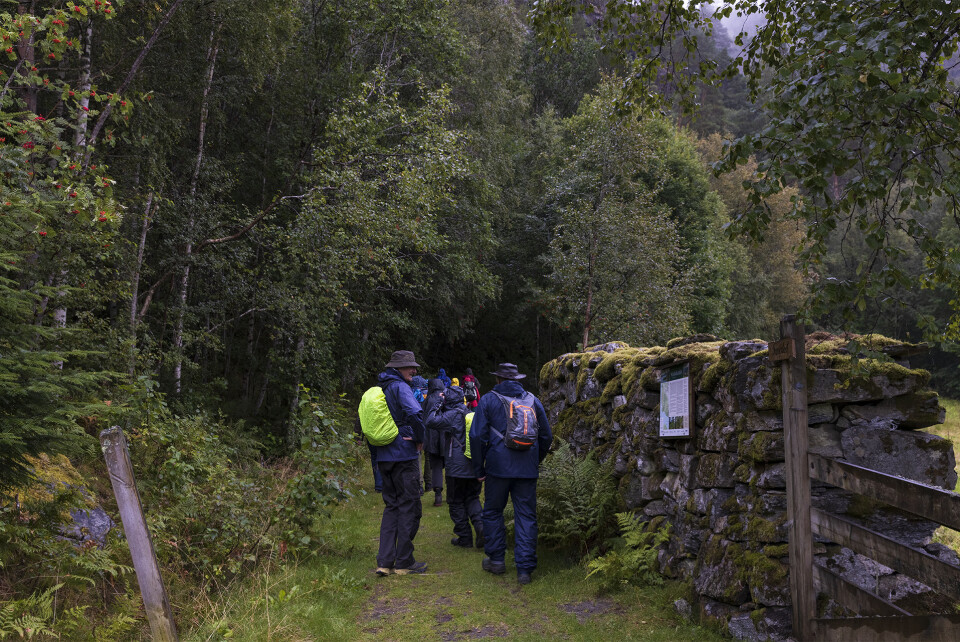 Opp eldste bygdaveg til Todalen