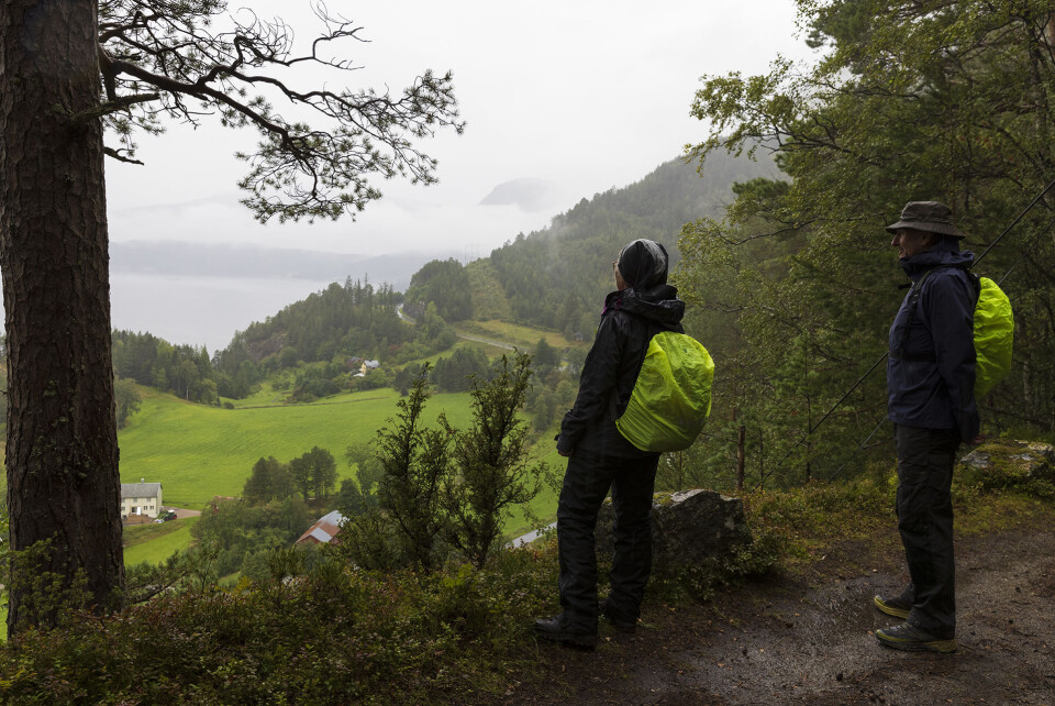 Utsikt til Svinviks arboret