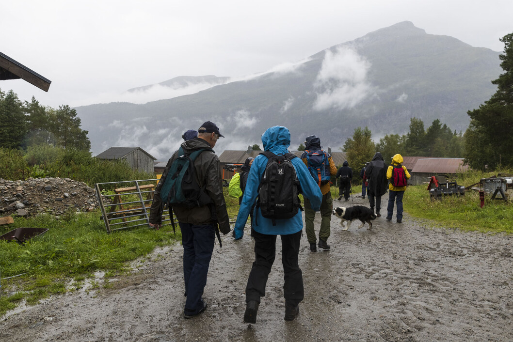 Oppe på Hjellnes Oppe på Hjellnes