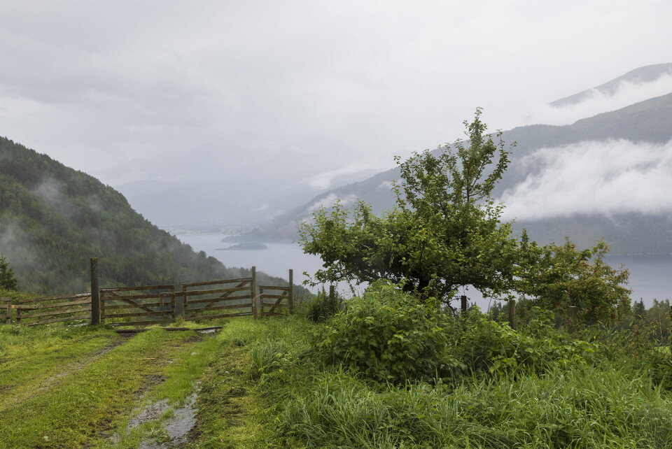 Utsikt til Todalen