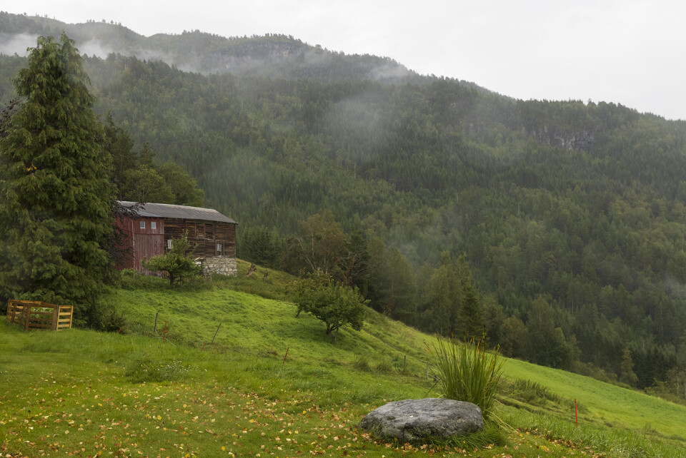 Gammalt, sjarmerande fjøs