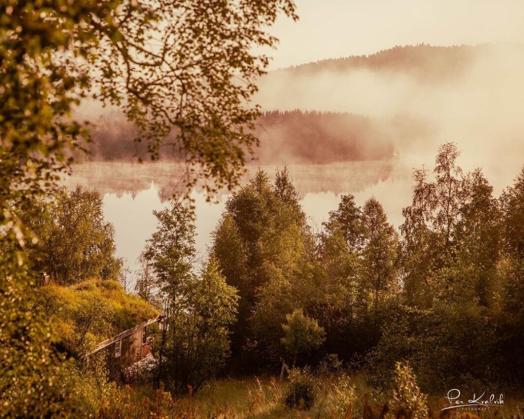 Nydelig #morgen på #hyttekontoret // #hytta #rørvatnet #rindalsskogen Nydelig #morgen på #hyttekontoret // #hytta #rørvatnet #rindalsskogen