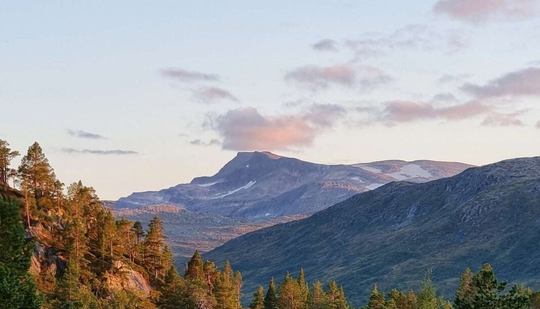 Folldalen. Snota i kveldssol 🧡 Folldalen. Snota i kveldssol 🧡