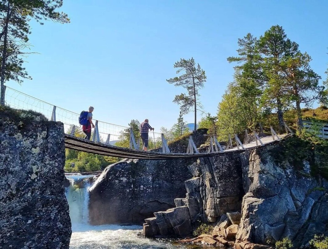Går høsten i møte. Takk til august og en finfin sommer 2021 #vindøldalen #dalenimitthjerte #surnadal Går høsten i møte. Takk til august og en finfin sommer 2021 #vindøldalen #dalenimitthjerte #surnadal
