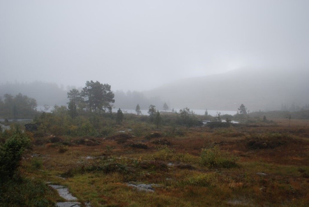 Skoddehav rundt vannet. Skoddehav rundt vannet.