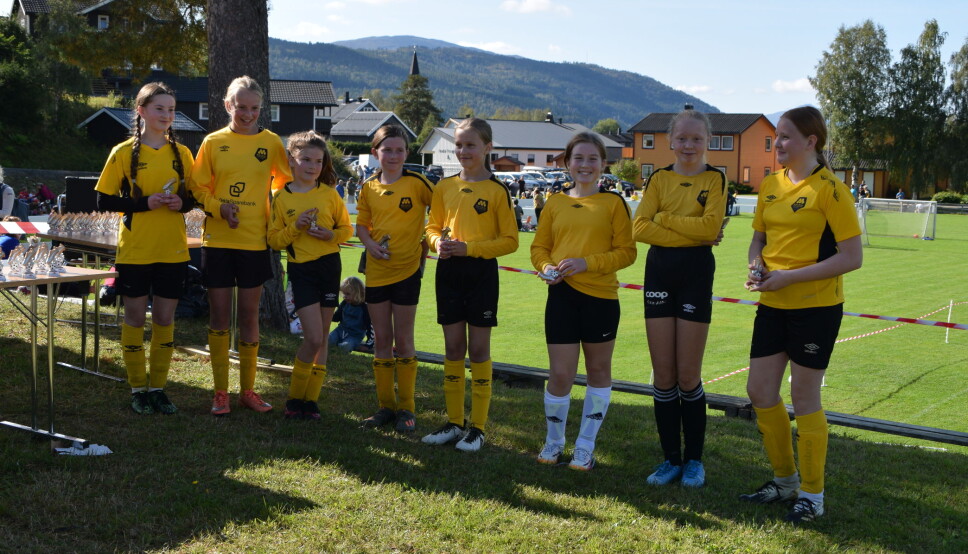 Meldal J11.