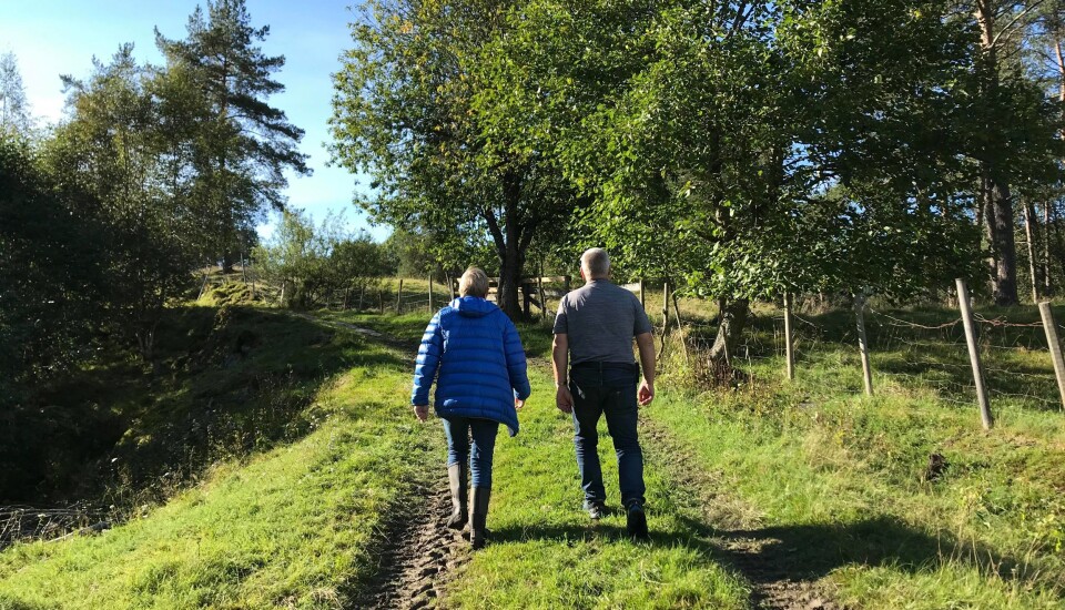 Anne Sofie Dønnem og Steinar Ranes på veg opp til Bruahaugen
