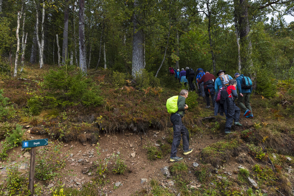 Opp gjennom bratt skog.
