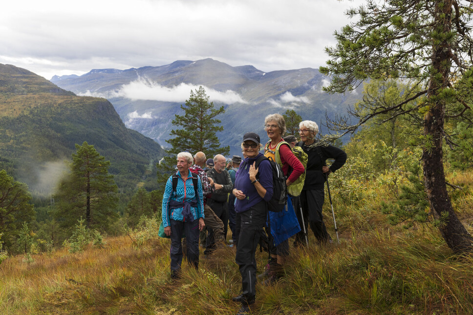 Ferdig med granskogen.