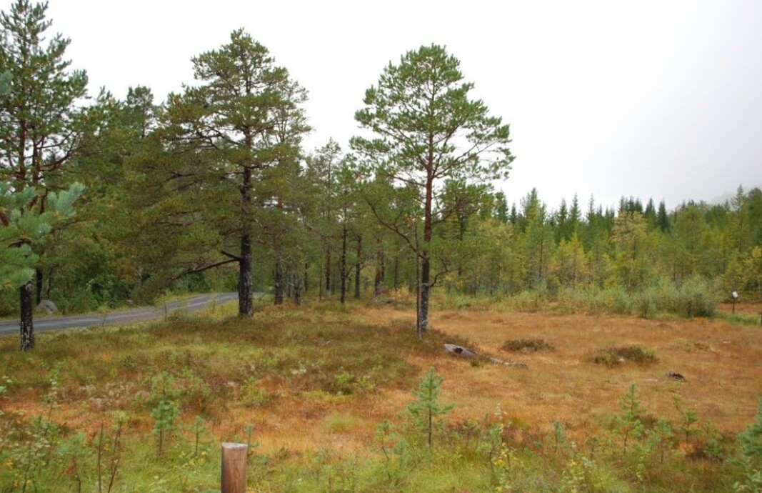 Skodde mot vest Skodde mot vest
