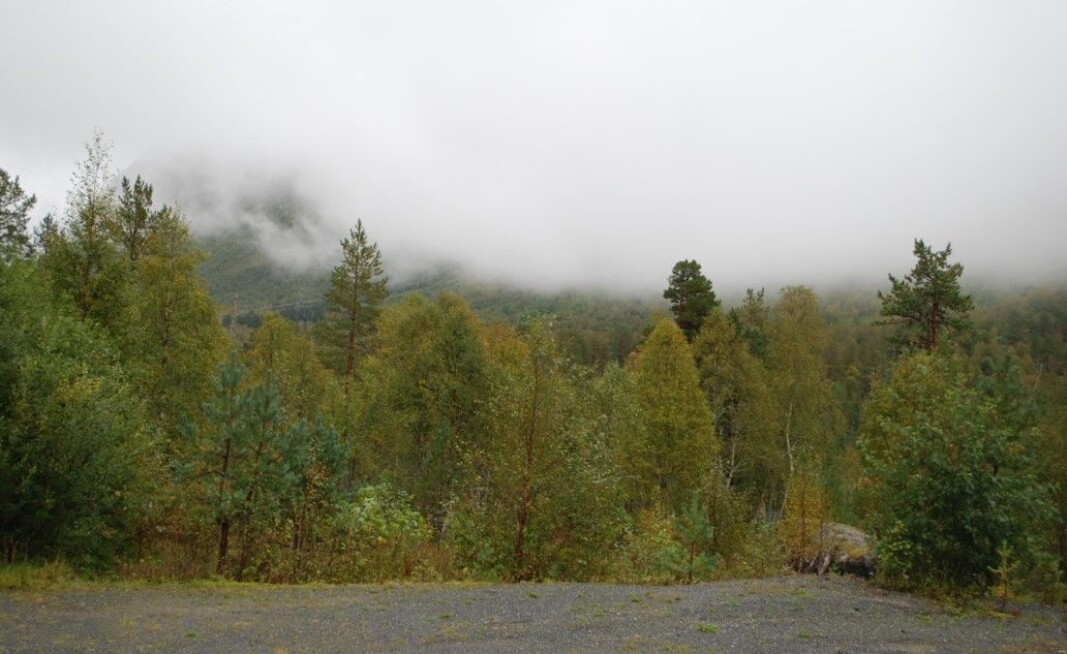 Storfjellet bak skodda Storfjellet bak skodda