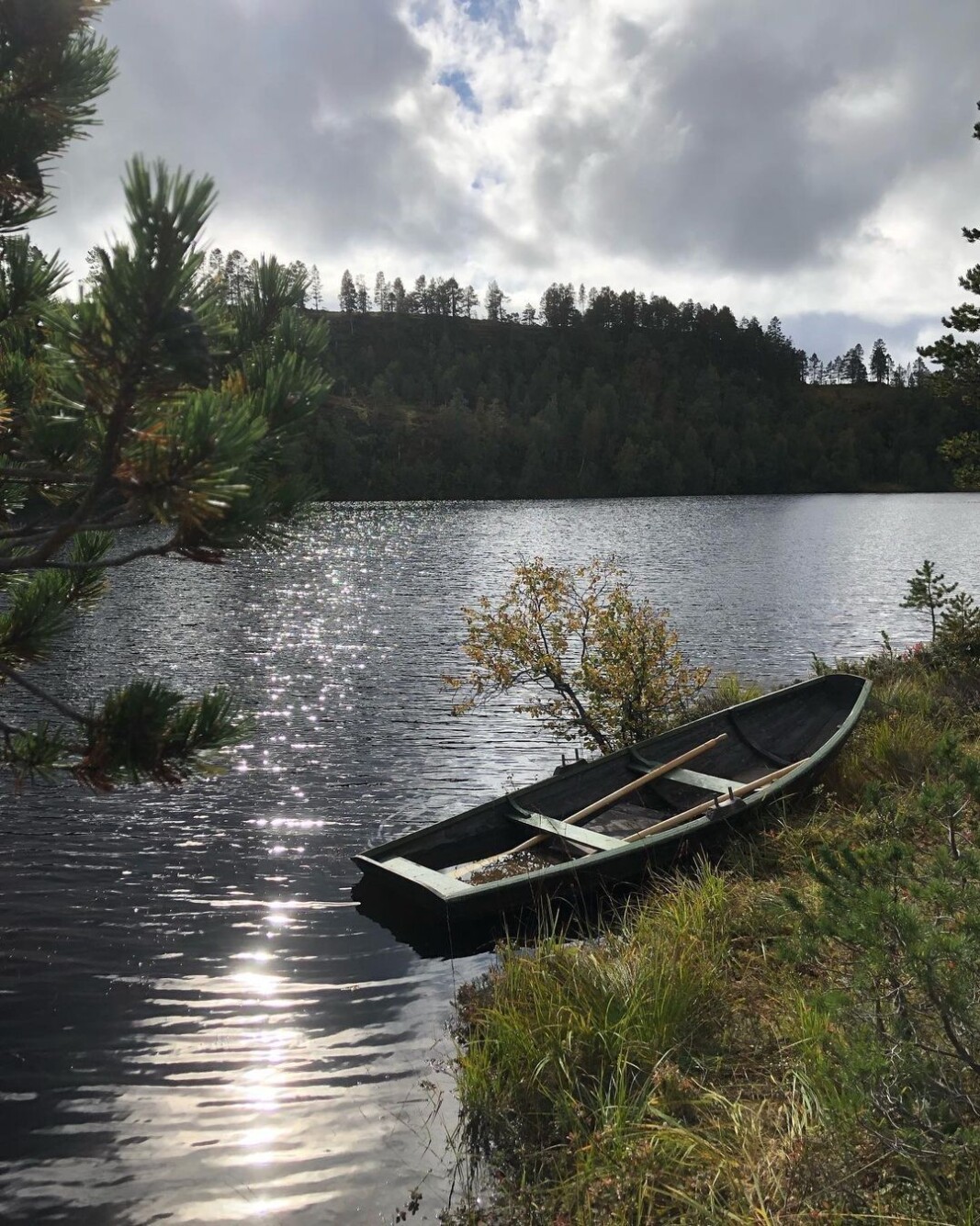 #langvatnet #nordmarka #langvatnet #nordmarka