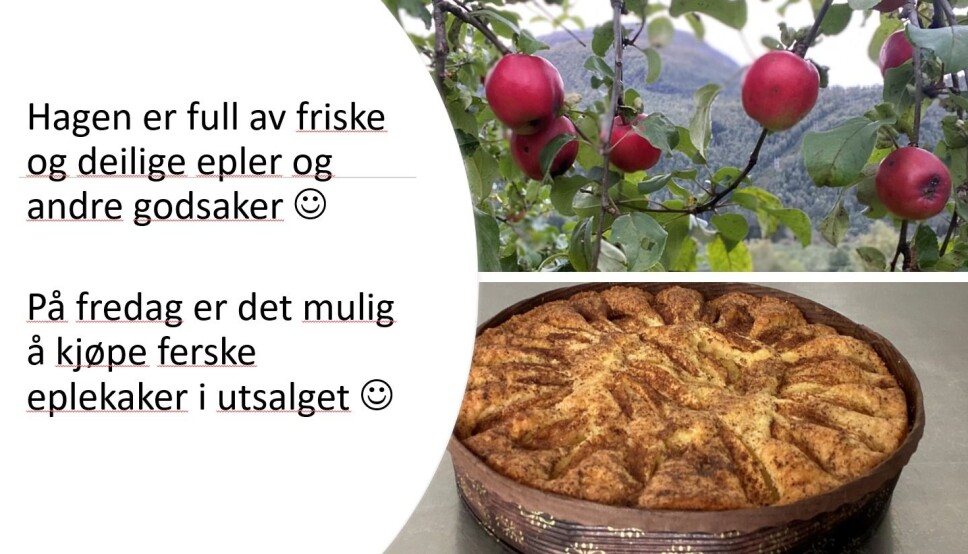 Lia gard - utsalg av bakervarer
