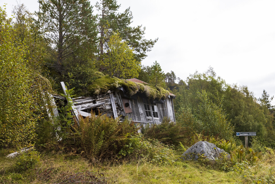 Borstua og Austigardssetra