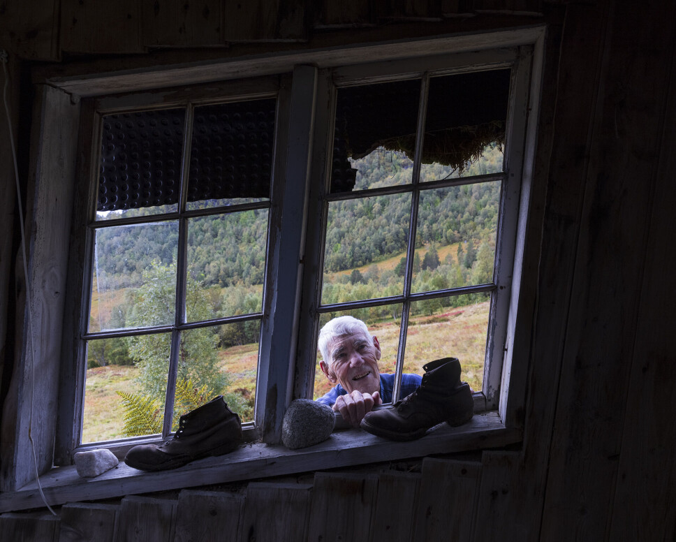 Tryggast å berre sjå inn