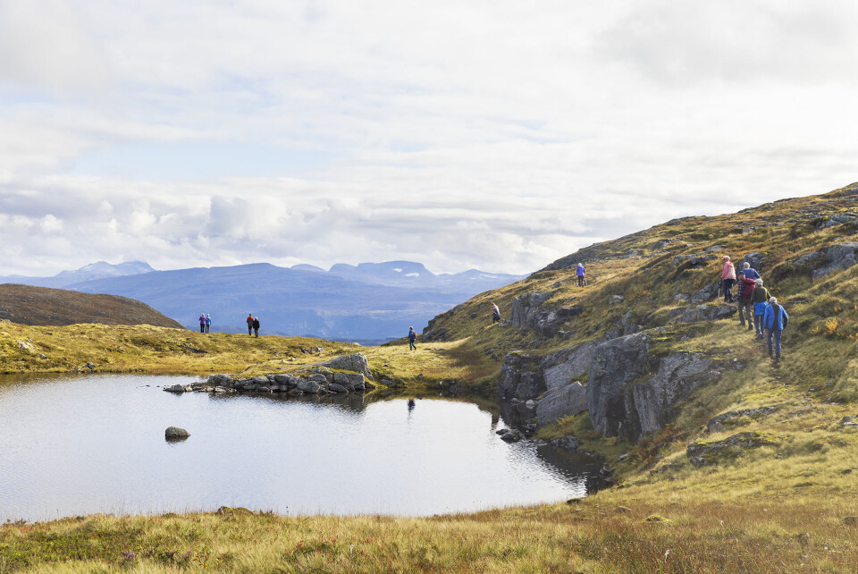 Tverrlivatnet