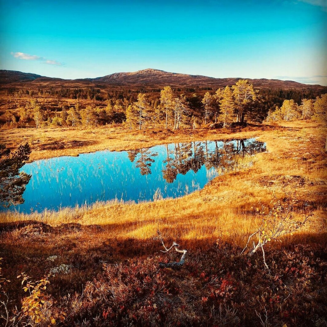 Høst i fjellet ⛰🍁🍂 Høst i fjellet ⛰🍁🍂