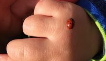 Ei lita hand. Ei lita hand.