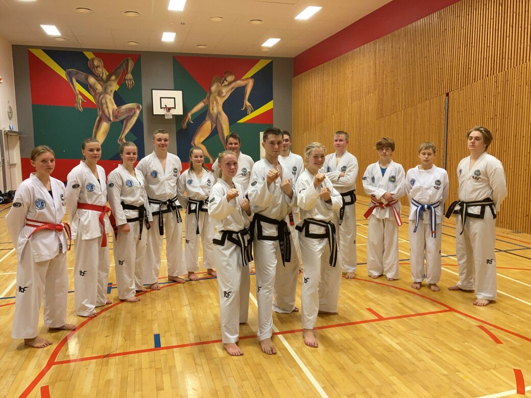 Foran: Una Langeland Gravvold, Kristian Gjersvold og Aurora Dønheim Berle sammen med flere representanter fra Surnadal taekwon-do klubb Foran: Una Langeland Gravvold, Kristian Gjersvold og Aurora Dønheim Berle sammen med flere representanter fra Surnadal taekwon-do klubb