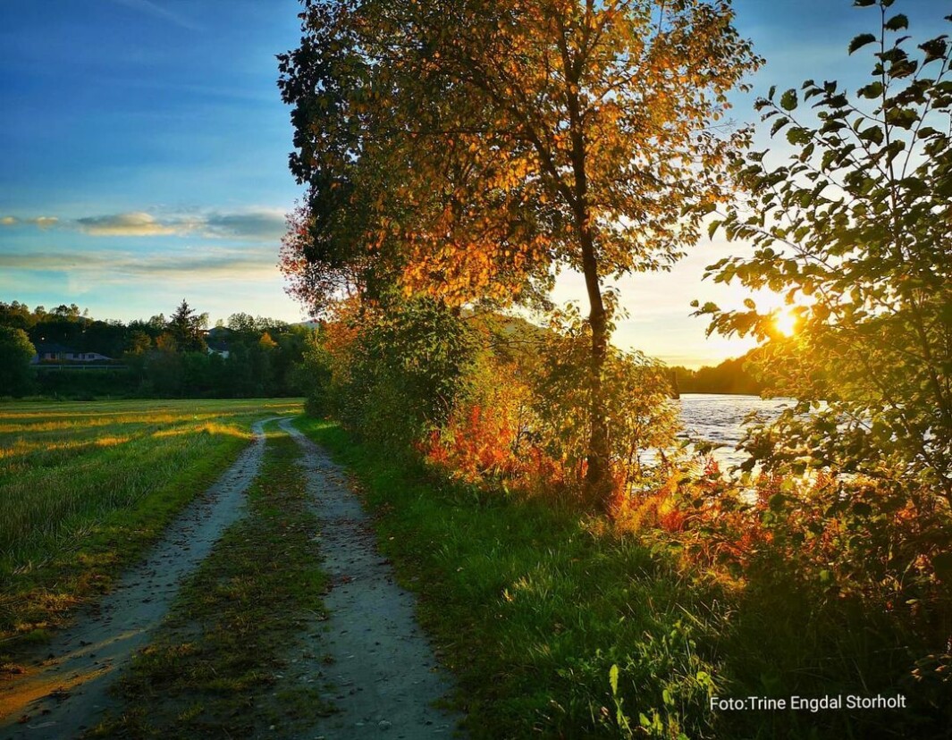 September er et godt bevis på at forandring kan være utrolig vakkert. Her nede vel elva Surna. #surnadal September er et godt bevis på at forandring kan være utrolig vakkert. Her nede vel elva Surna. #surnadal