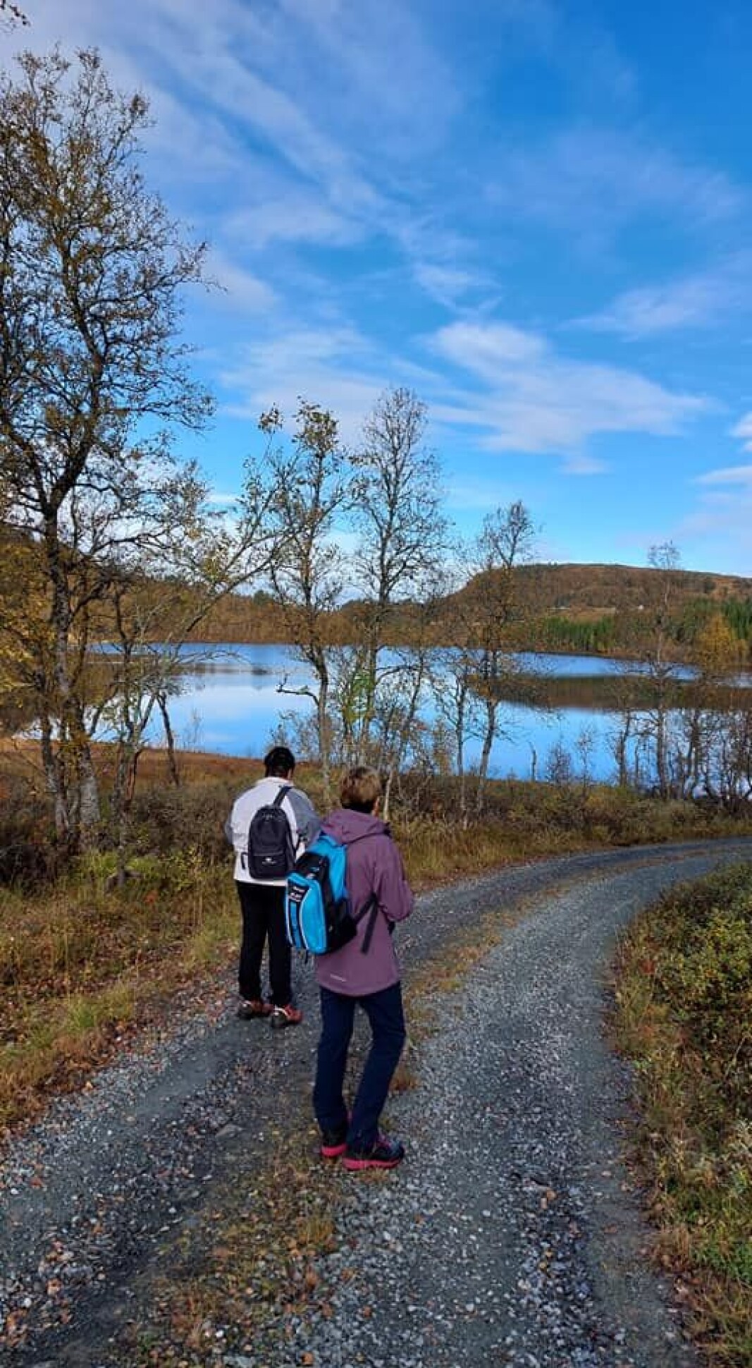 Fin utsikt utover vatnet Fin utsikt utover vatnet