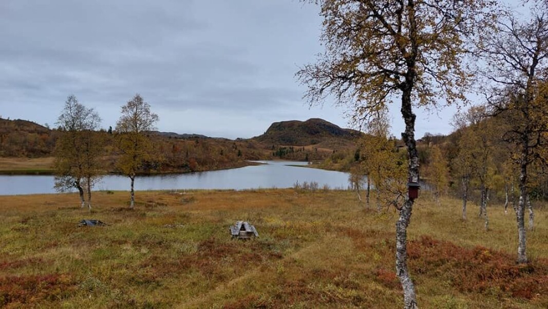 På andre enden av Snausvatnet På andre enden av Snausvatnet