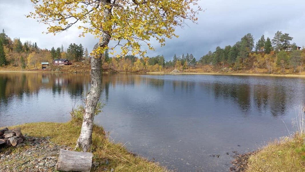 Fin høst Fin høst