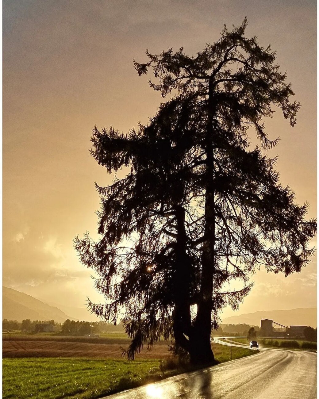 Regn og sol i Surnadal Regn og sol i Surnadal
