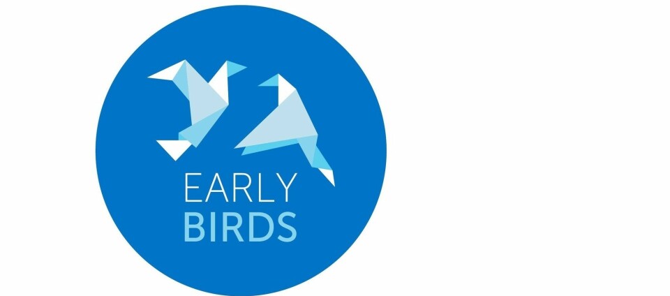 Early birds logo