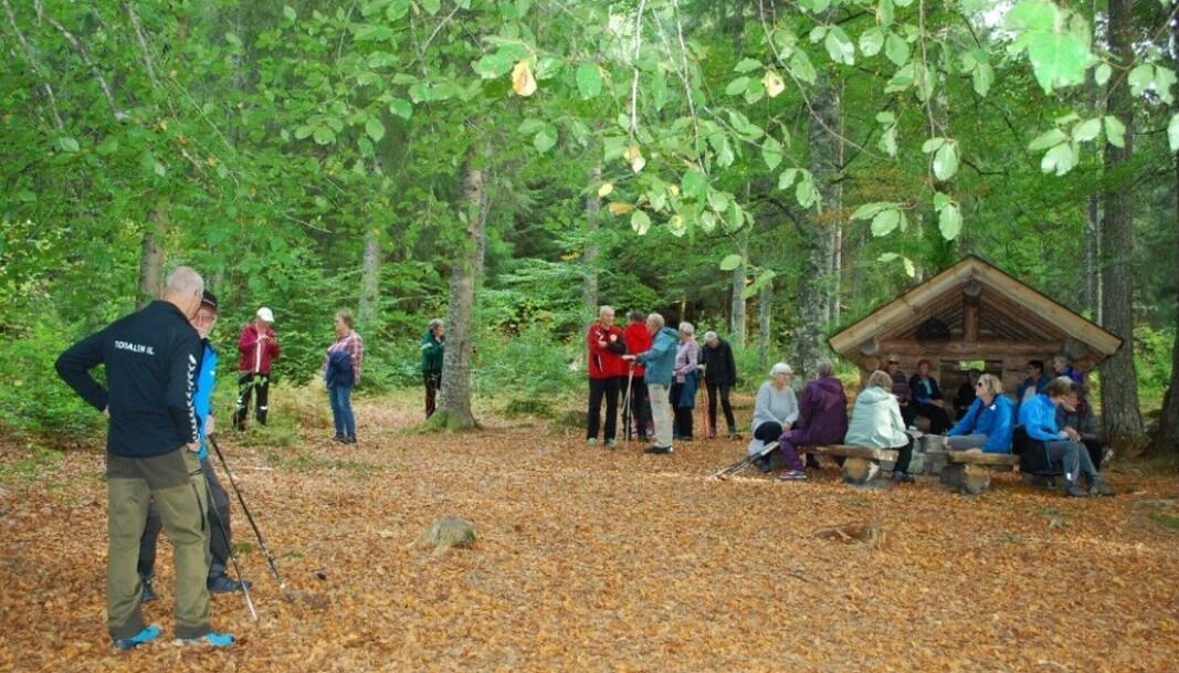 I bøkeskogen. I bøkeskogen.