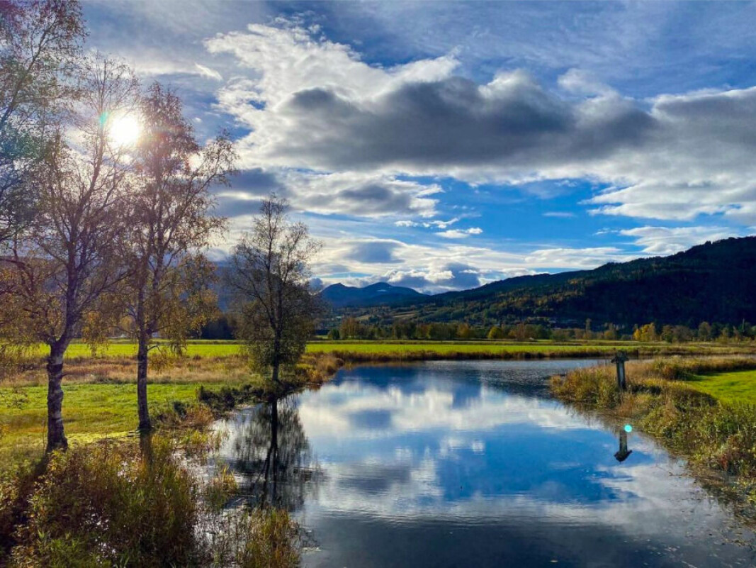 ⛅️🍃 ⛅️🍃