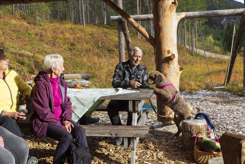 Også ein godbit til hunden.