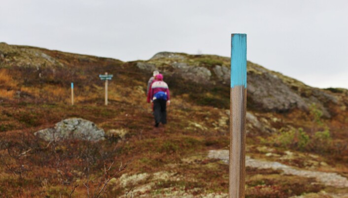 Etter å ha gått slakt oppover i omtrent 1 km, kommer du på Tifjell-stien via Langora fra Furuhaugmarka Etter å ha gått slakt oppover i omtrent 1 km, kommer du på Tifjell-stien via Langora fra Furuhaugmarka