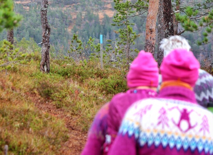 Stien til Langkåsen er godt merket med blåmalte pinner og skilt. Stien til Langkåsen er godt merket med blåmalte pinner og skilt.