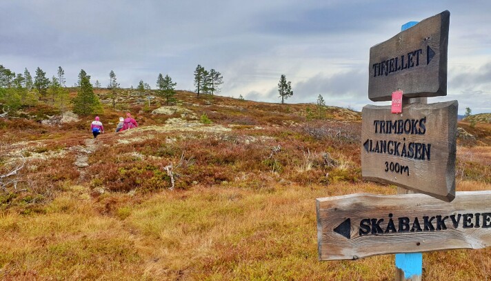 Stidele nummer 2, her tar du av fra Tifjell-stien og det er omtrent 300 meter til Langkåsen. Stidele nummer 2, her tar du av fra Tifjell-stien og det er omtrent 300 meter til Langkåsen.