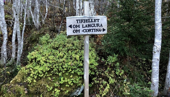 Fra Furuhaugmarka er det kortest om Langura til trimposten på Langkåsen. Foto Rune Løfald Fra Furuhaugmarka er det kortest om Langura til trimposten på Langkåsen. Foto Rune Løfald